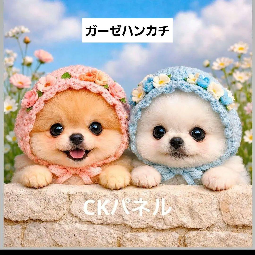 ピーチリクエストページ