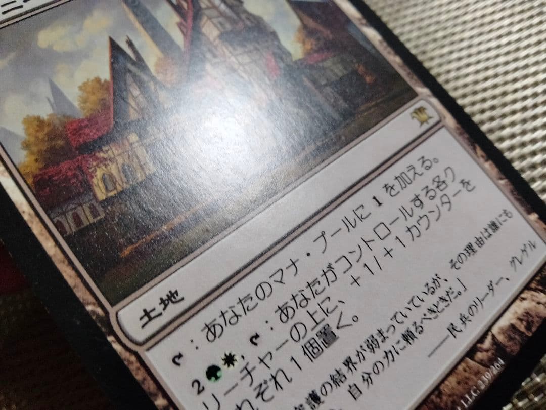 【ご確認用】イニストラード ガヴォニーの居住区 日本語 1枚　MTG