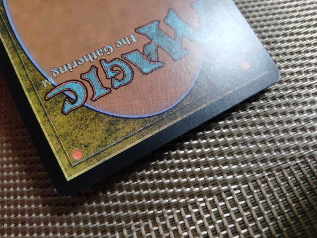 【ご確認用】イニストラード ガヴォニーの居住区 日本語 1枚　MTG