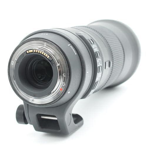 シグマ Contemporary 150-600mm F5-6.3 DG OS