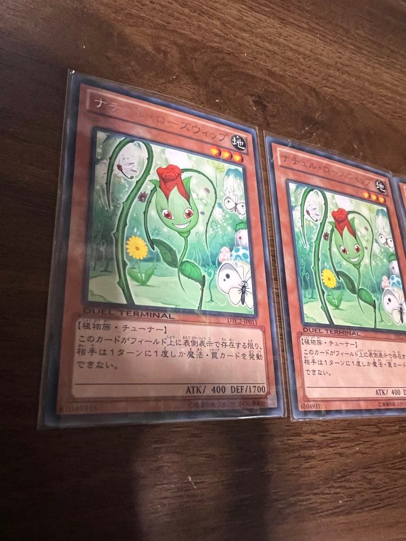 遊戯王　ナチュルローズウィップ デュエルターミナル　DTC2 未使用品　レア
