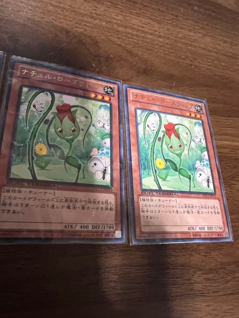 遊戯王　ナチュルローズウィップ デュエルターミナル　DTC2 未使用品　レア