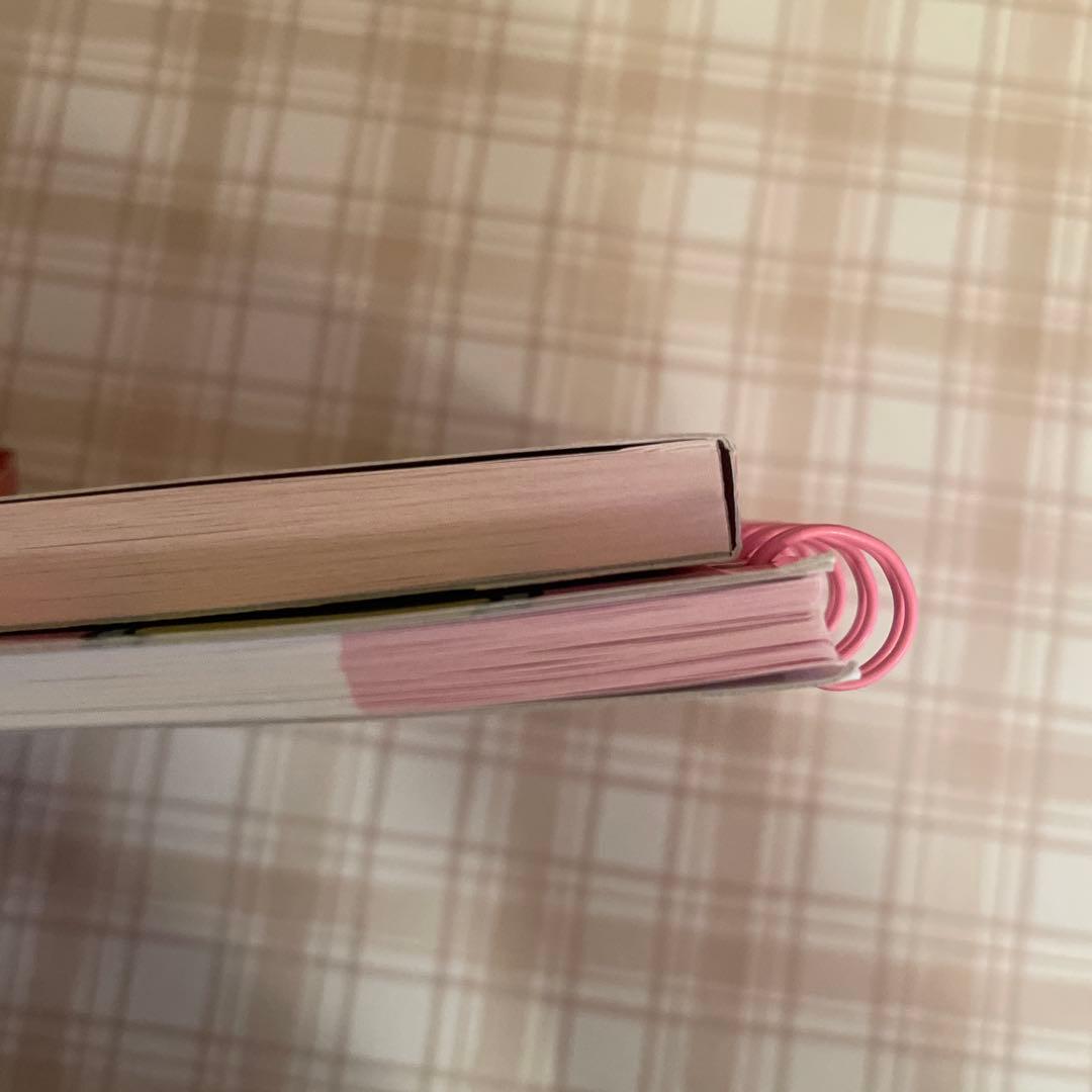 平成レトロ　サンリオ　マイメロディ　激レア　メモ帳　3点