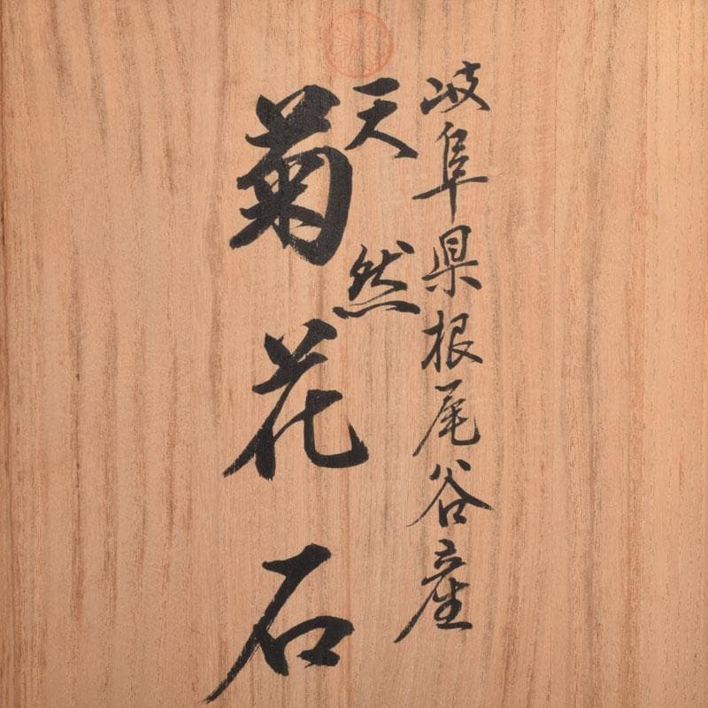 岐阜県根尾谷産　天然石　鑑賞石　菊花石　立札・唐木台・木箱付　D　R9555B