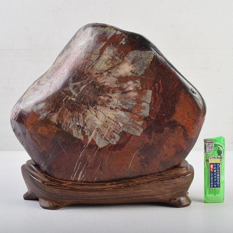 岐阜県根尾谷産　天然石　鑑賞石　菊花石　立札・唐木台・木箱付　D　R9555B