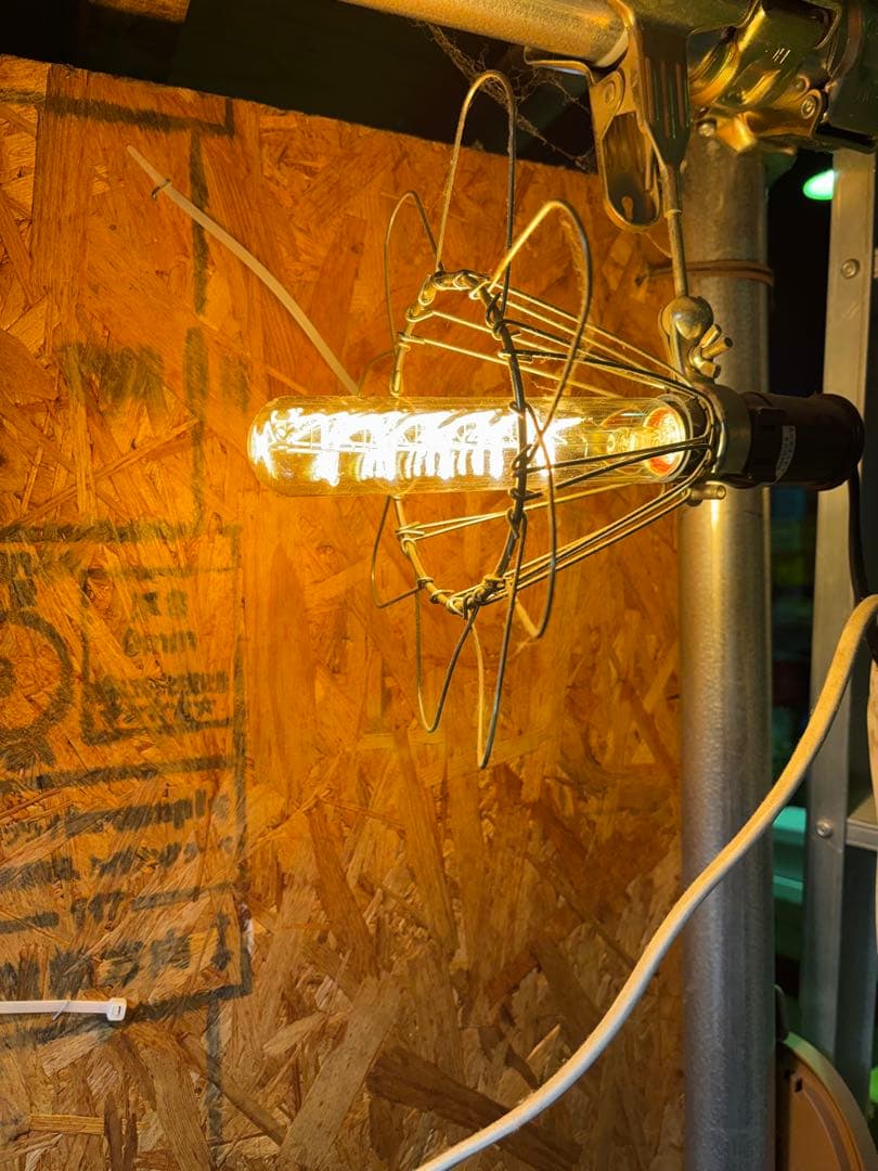 BEACON LED電球 スパイラル形状 4個セットと1個