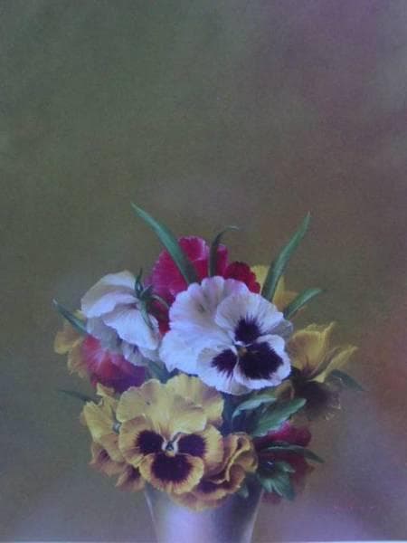 土井邦晃、花、希少画集画、新品額装