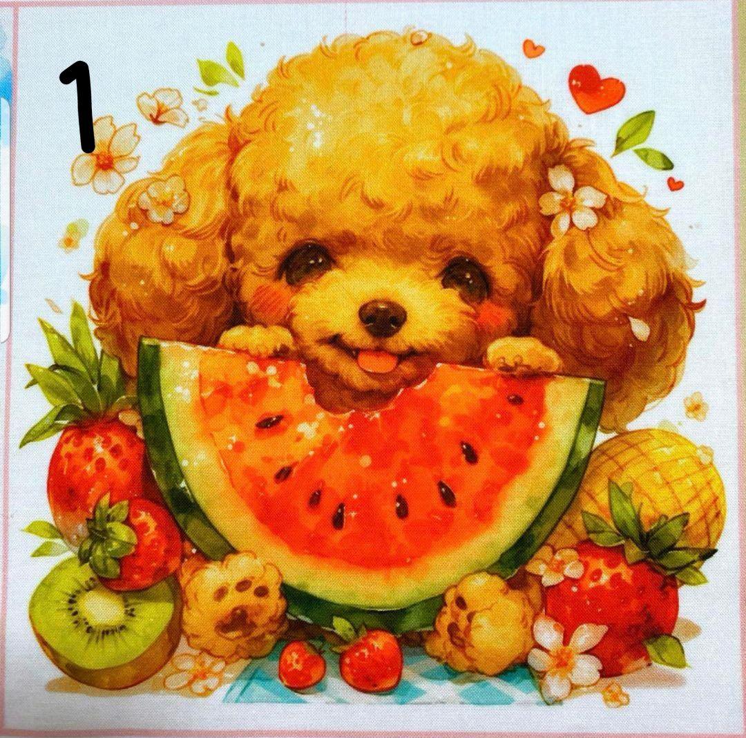 オーダー受付　トイプー　ご予約ページ　4/24