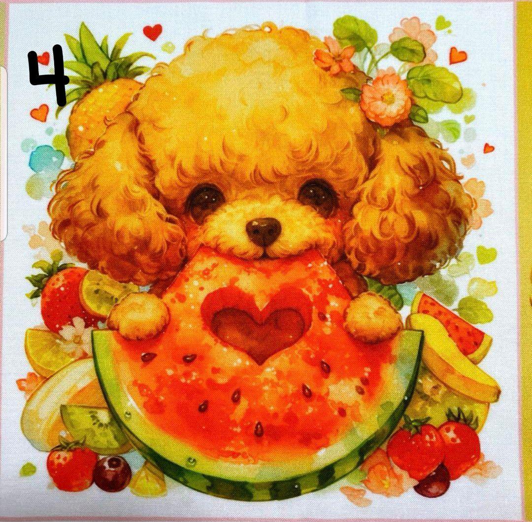 オーダー受付　トイプー　ご予約ページ　4/24