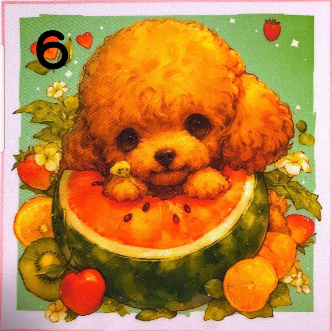 オーダー受付　トイプー　ご予約ページ　4/24