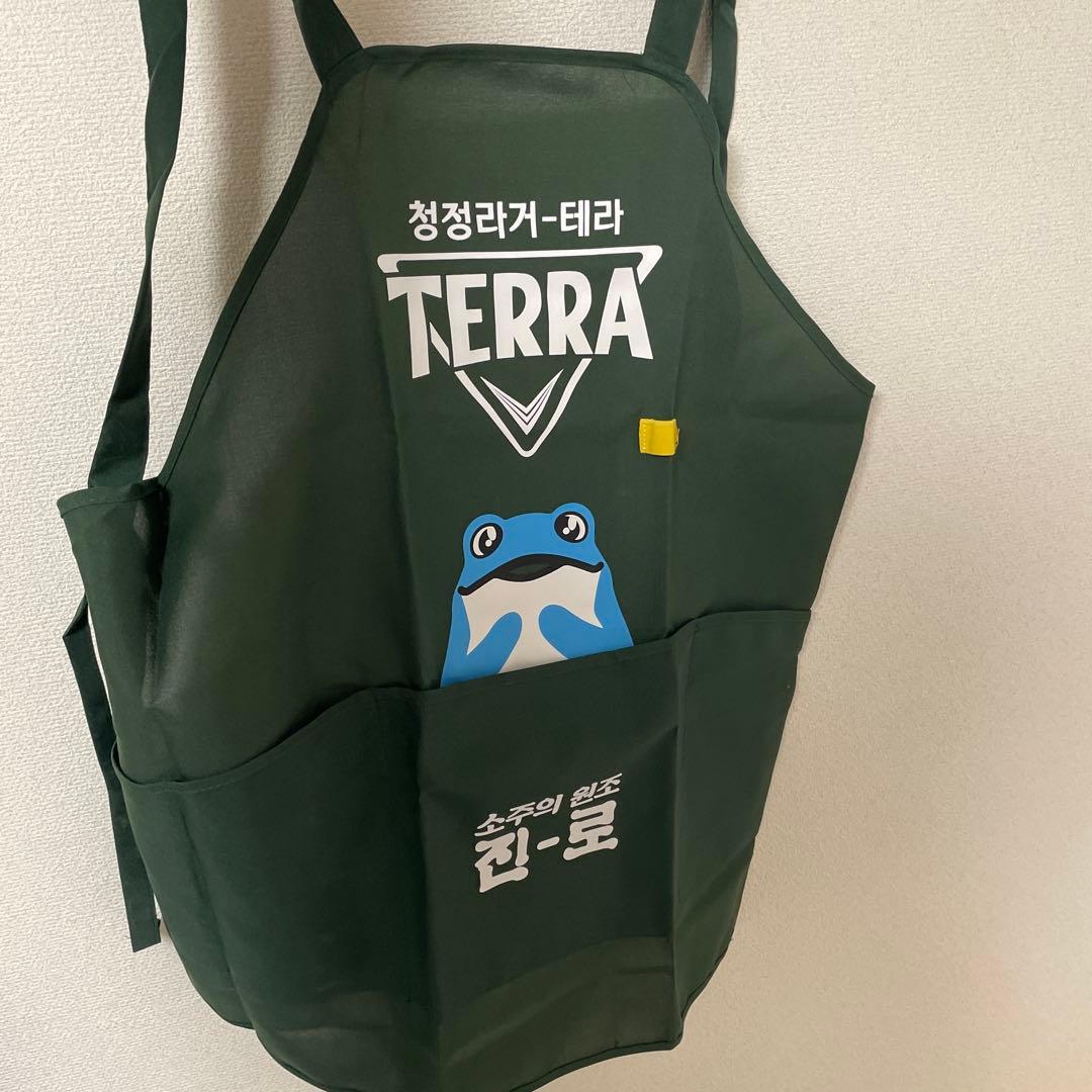 TERRA エプロン　５セット