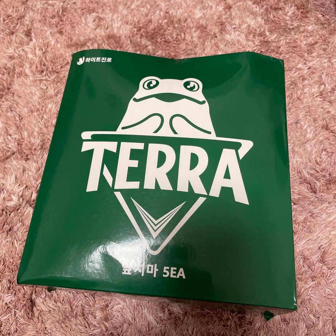 TERRA エプロン　５セット