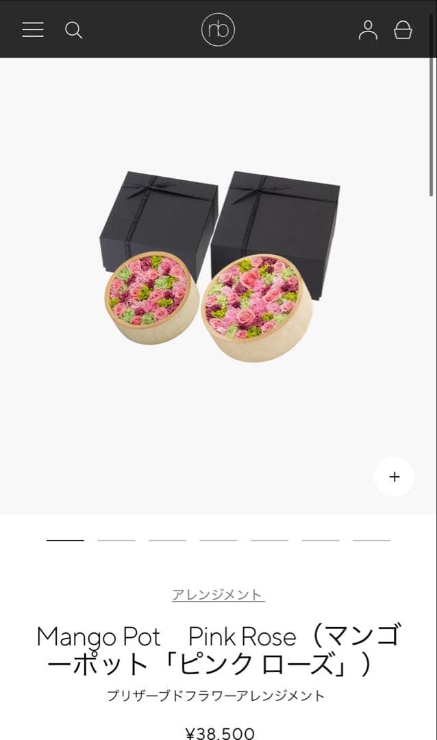 ニコライバーグマン　プリザーブドフラワーアレンジメント　L ラージ