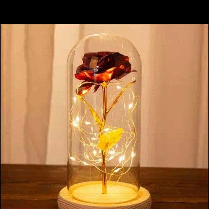 [プレゼント] 一輪の花