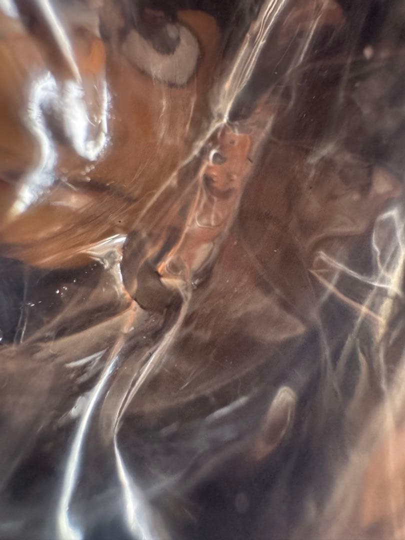 スパイダー版 はじめの一歩 THE FIGHTING! 幕之内 一歩 フィギュア