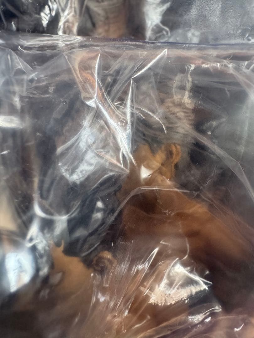 スパイダー版 はじめの一歩 THE FIGHTING! 幕之内 一歩 フィギュア