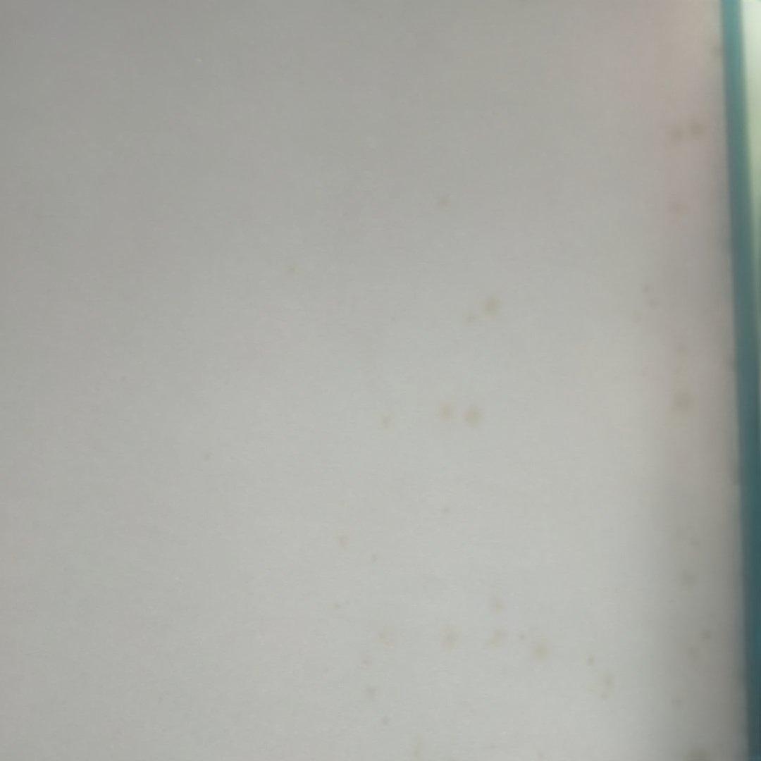 ジョン シンガー サージェント画集1982 RATCLIFF ABBEVILLE