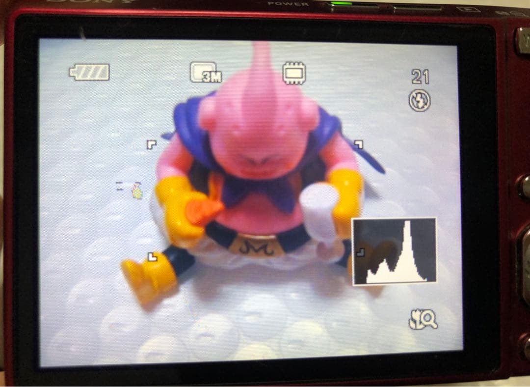 訳あり‼️SONY Cyber-shot DSC-T100