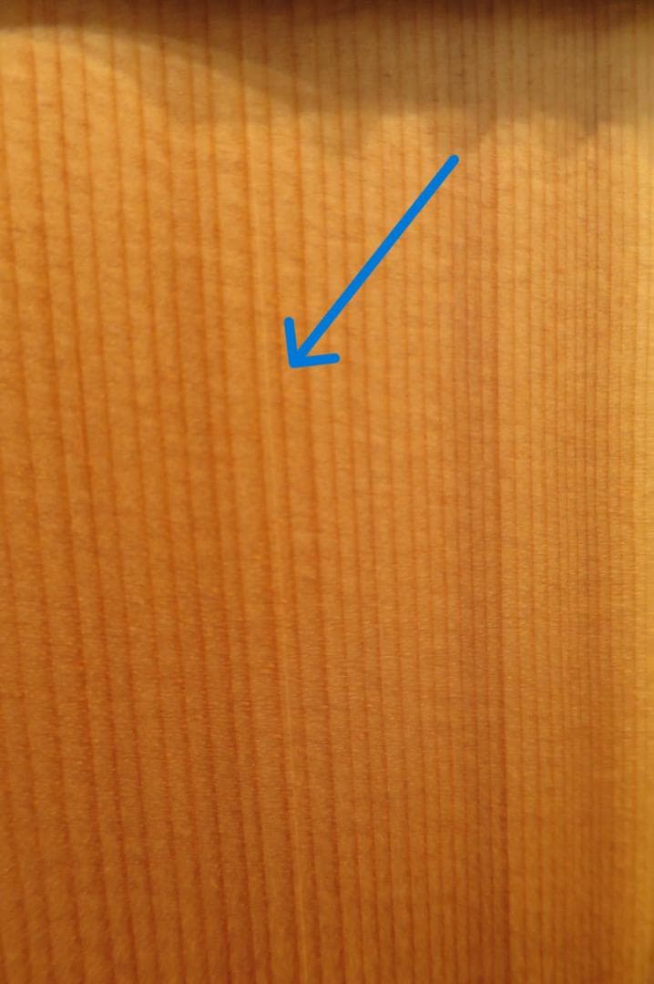 Gibson G-45（光栄堂楽器選定品）