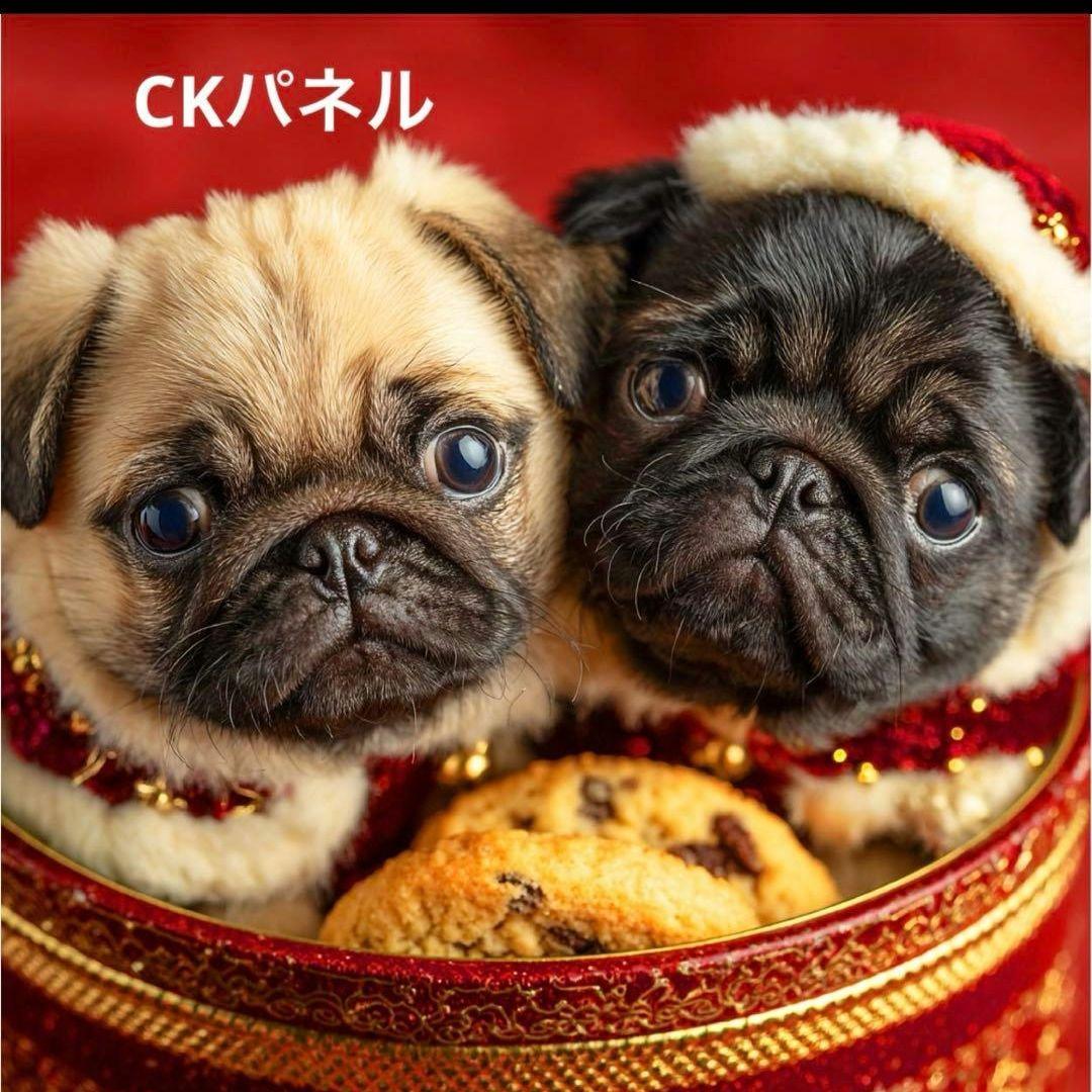 激レアパグクリスマスクッキーパネル生地　ハンドメイド