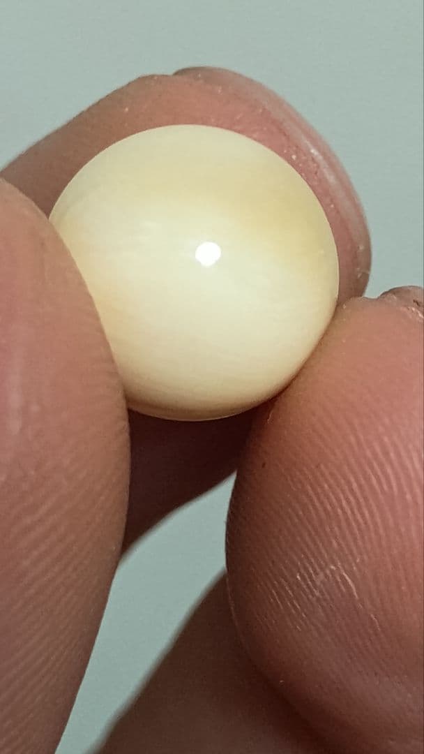 マッコウ鯨 牙玉 鯨歯玉 標本 緒締 根付 大約11㎜