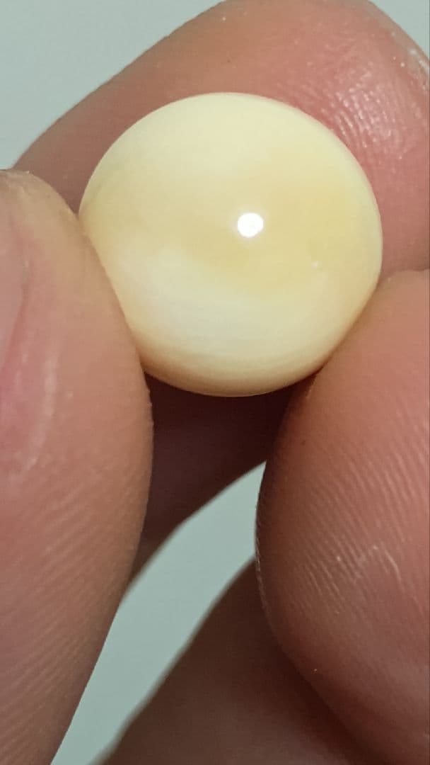 マッコウ鯨 牙玉 鯨歯玉 標本 緒締 根付 大約11㎜