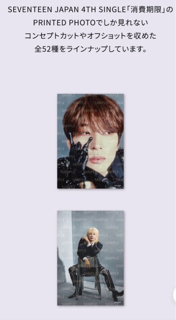 SEVENTEEN 未開封　消費期限　PRINTEDPHOTO 10枚セット