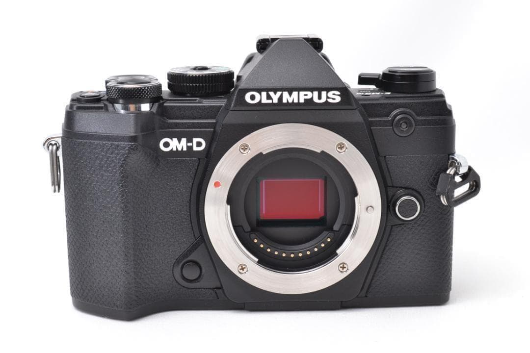 ■ 美品 ■ オリンパス　OM-D E-M5 MarkⅢ ブラック ボディ