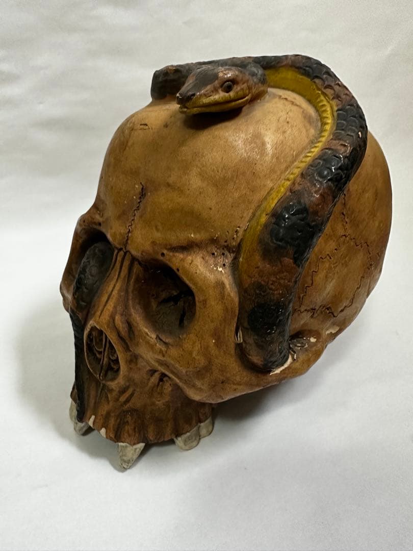 vintage antique skull snake 野ざらし 髑髏 蛇 陶器