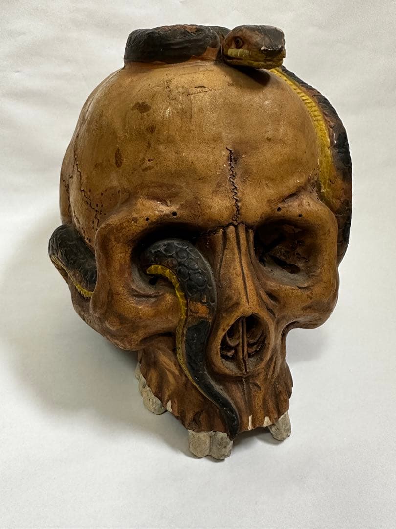 vintage antique skull snake 野ざらし 髑髏 蛇 陶器