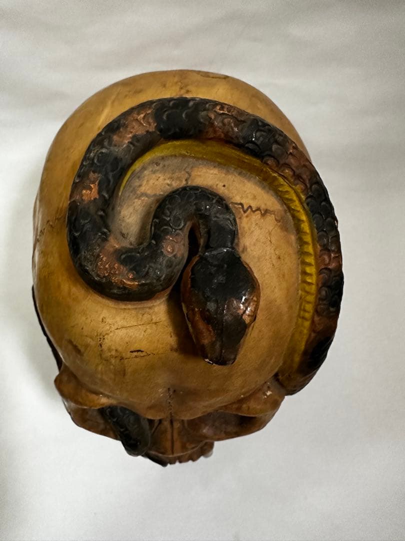 vintage antique skull snake 野ざらし 髑髏 蛇 陶器