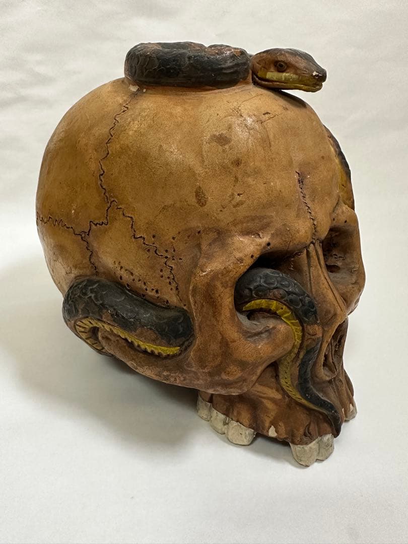 vintage antique skull snake 野ざらし 髑髏 蛇 陶器