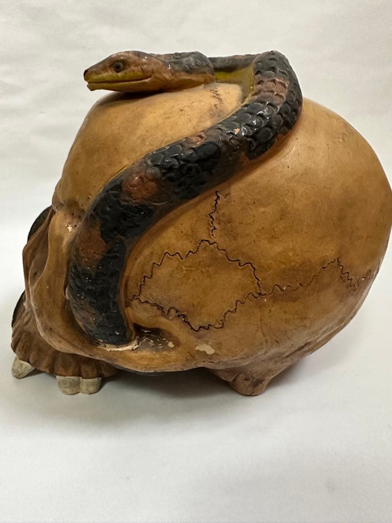 vintage antique skull snake 野ざらし 髑髏 蛇 陶器