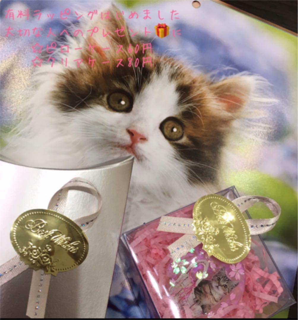 レジンヘアゴム、新作・お散歩猫ちゃんと蝶