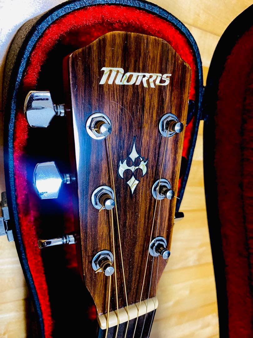 美品‼️モーリスM-60トップ、バック単板　良音