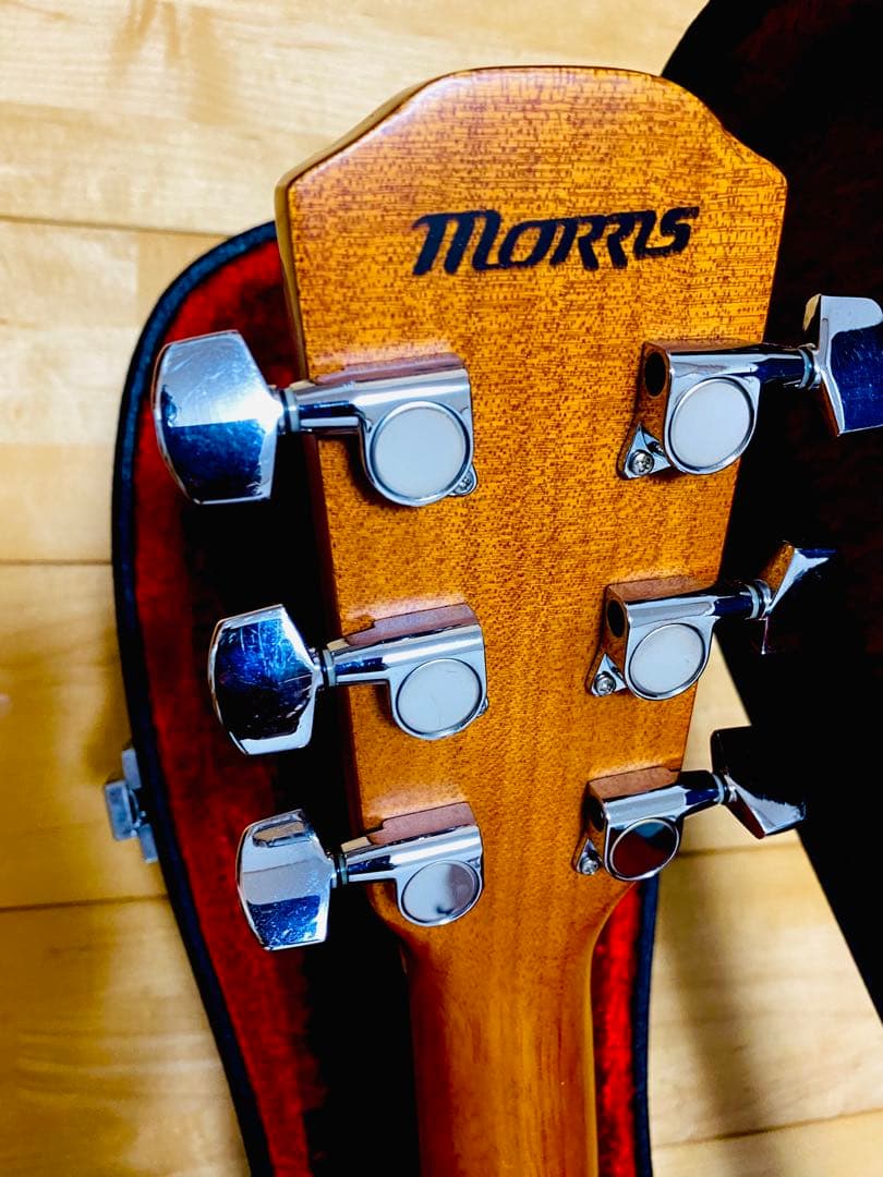 美品‼️モーリスM-60トップ、バック単板　良音