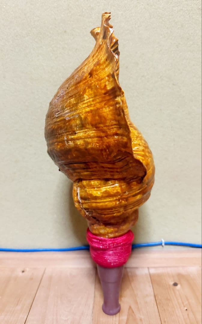 特大修験道法螺貝46㎝　肉厚　山伏ホラガイ　ほら貝