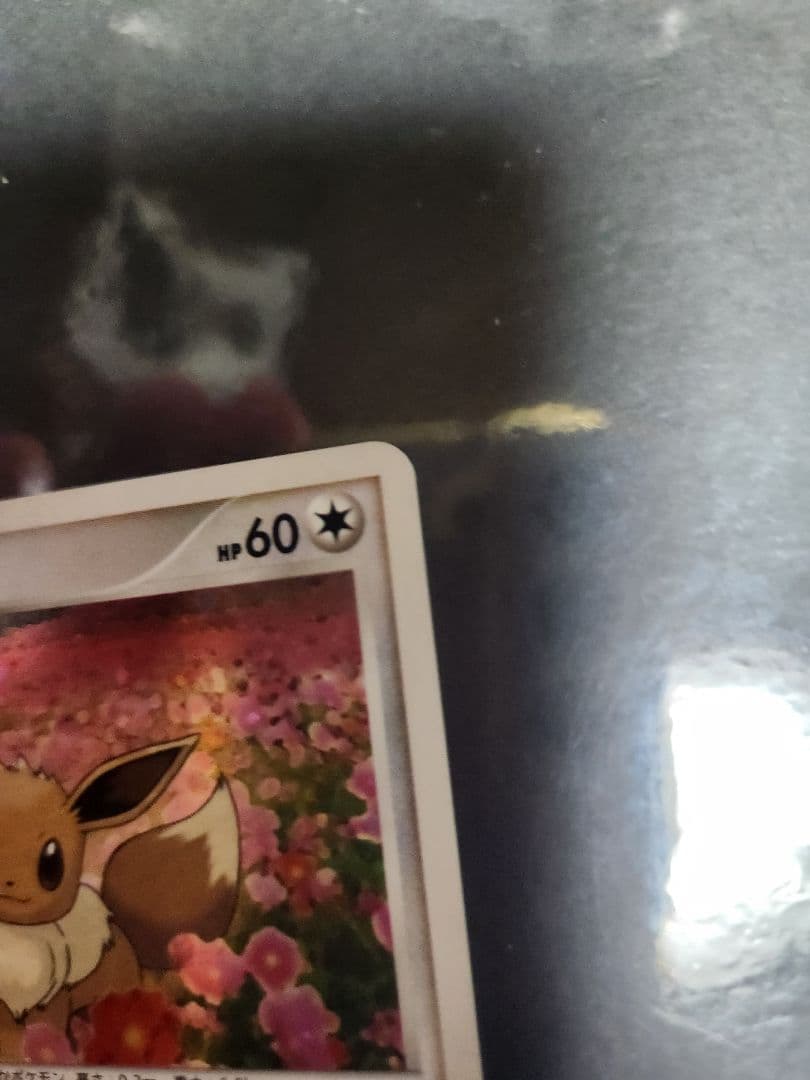 イーブイ　キラ　プロモ　とりかえっこDP 2007