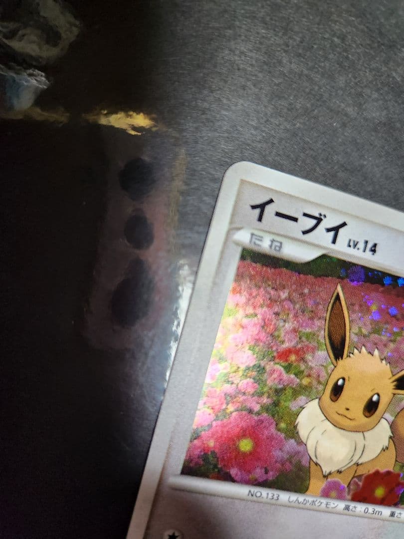 イーブイ　キラ　プロモ　とりかえっこDP 2007