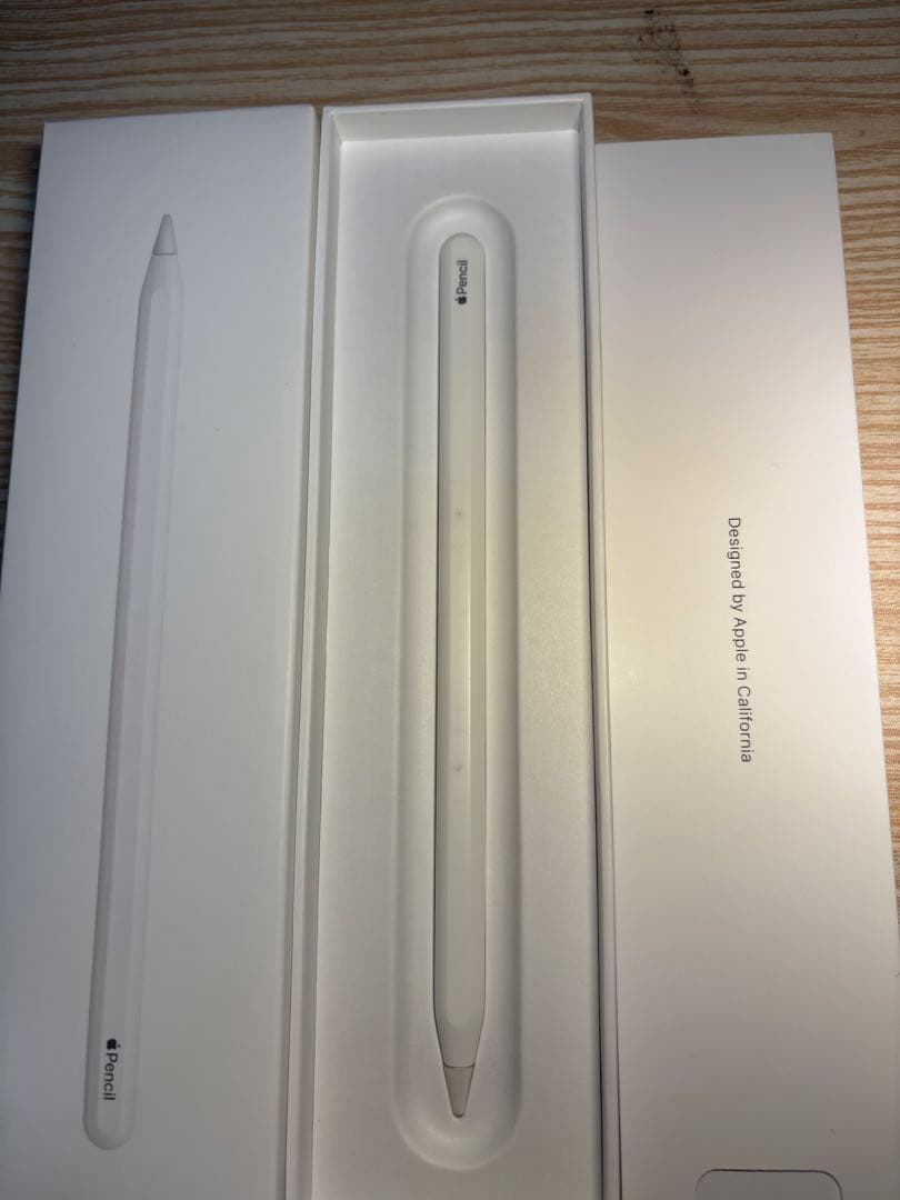 【Apple Pencil付】iPadPro第4世代Wi-Fiモデル256GB