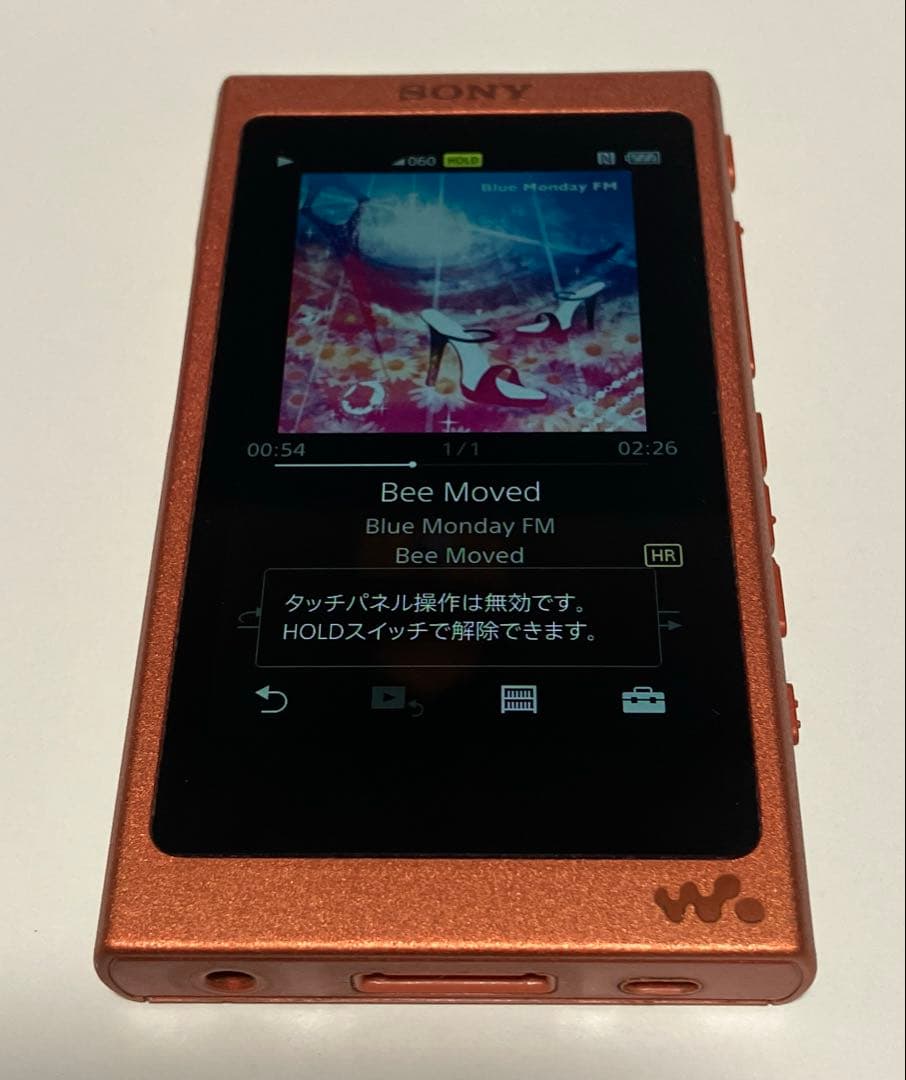 ♫Sony♫ Walkman SONY NW-A45