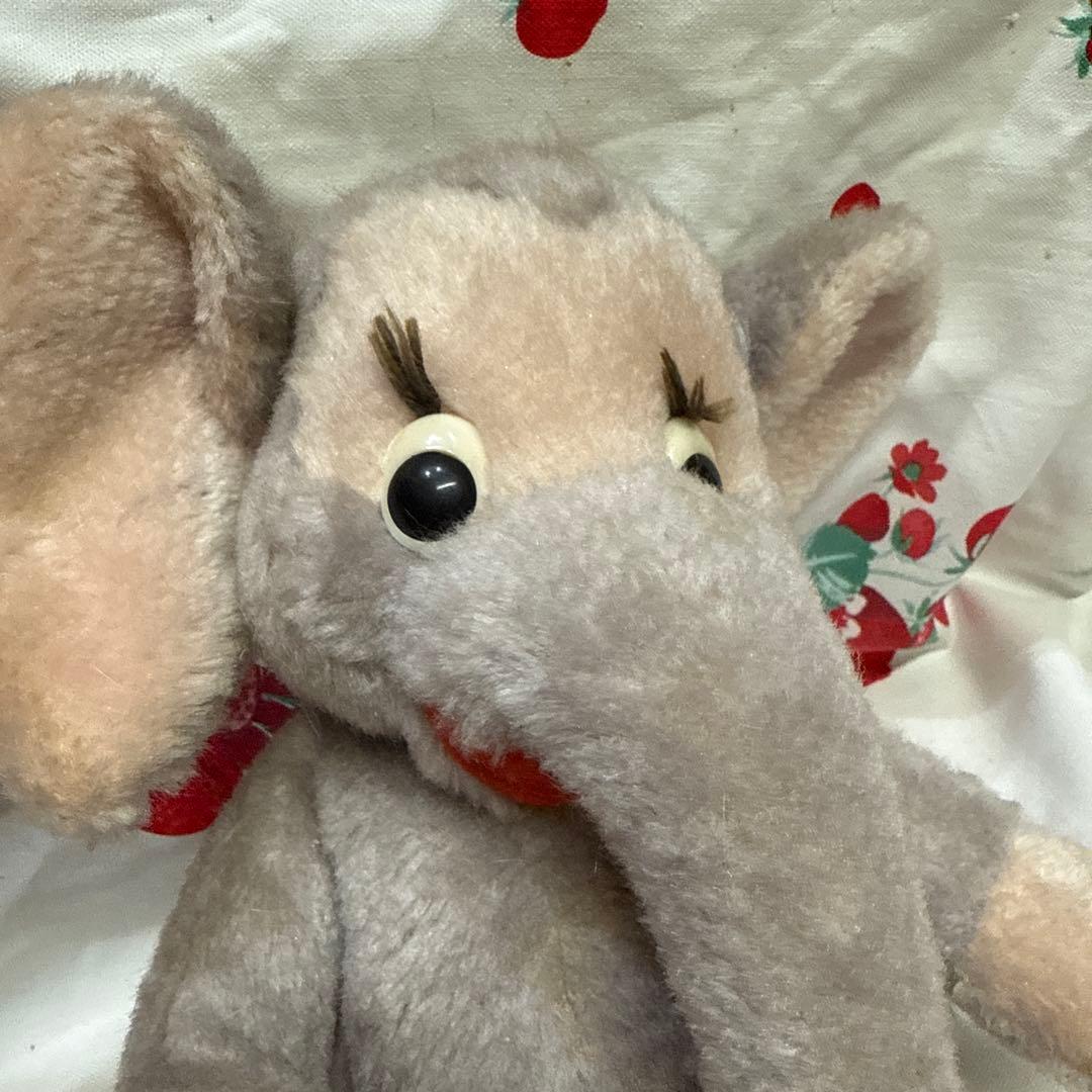 ドイツシュコービゴベロエレファントゾウさん