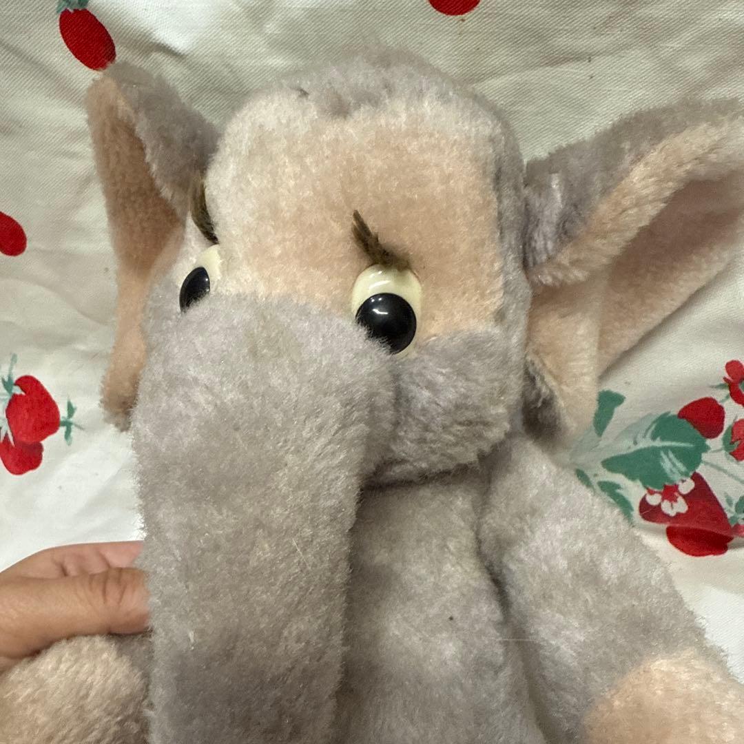 ドイツシュコービゴベロエレファントゾウさん