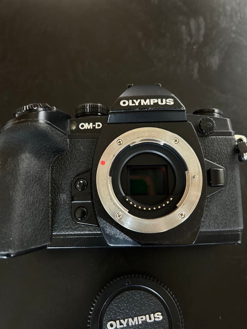 OLYMPUS OM-D E-M1 ボディ