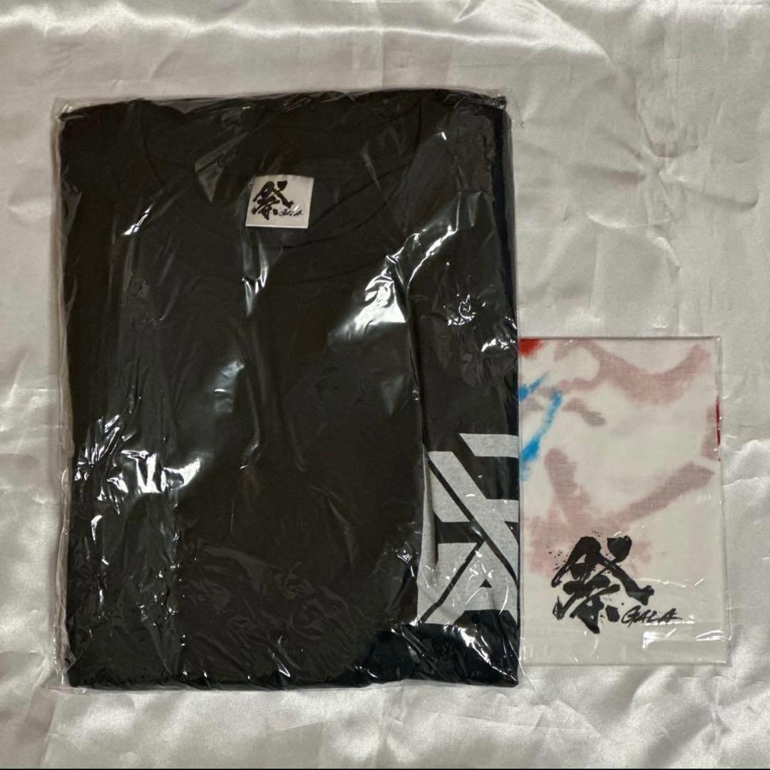 滝沢歌舞伎 ステージフォト ・祭GALA