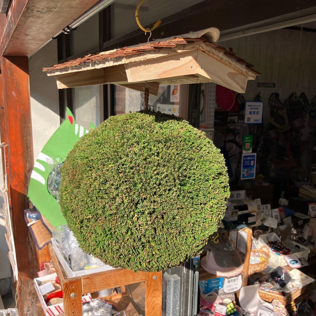 杉玉【屋根付き】①