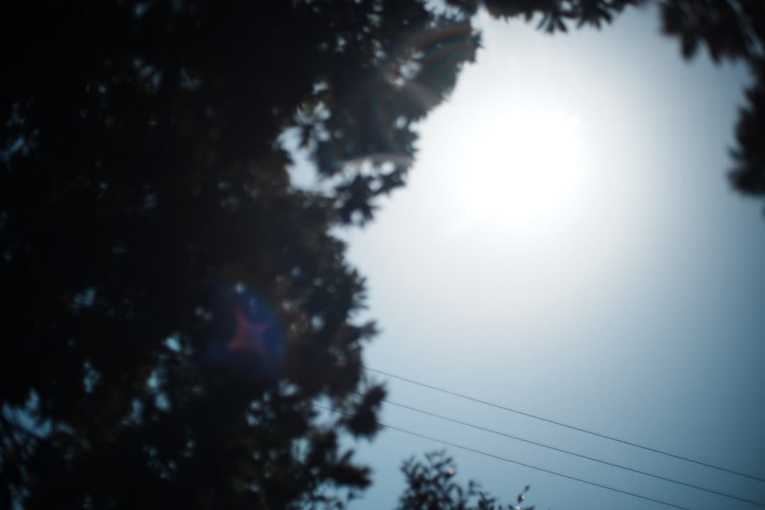 【極美品】Carl Zeiss Planar 50mm F1.4 MMJ 977