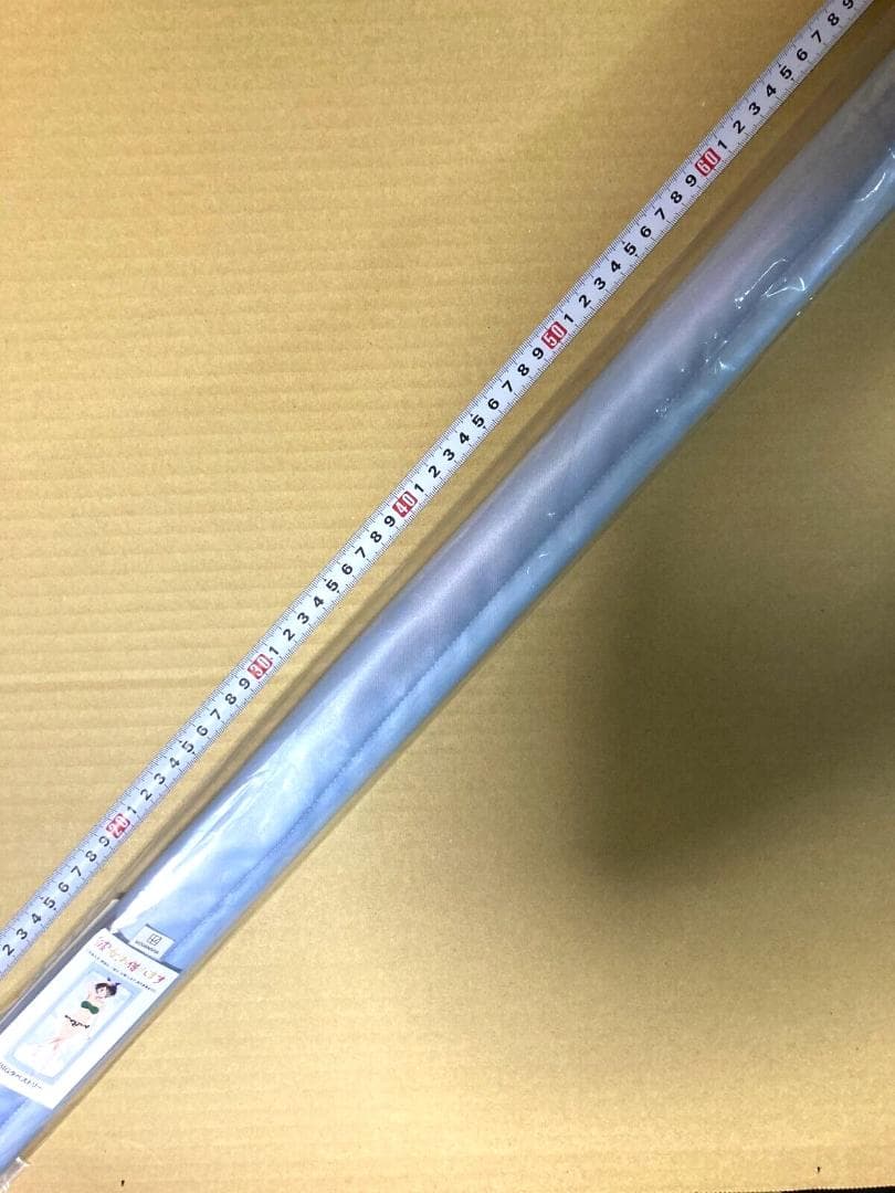 更科瑠夏　BIGタペストリー　160cm 彼女、お借りします