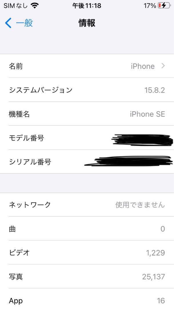 Apple iPhone SE 初代 シルバー 本体 +充電器付