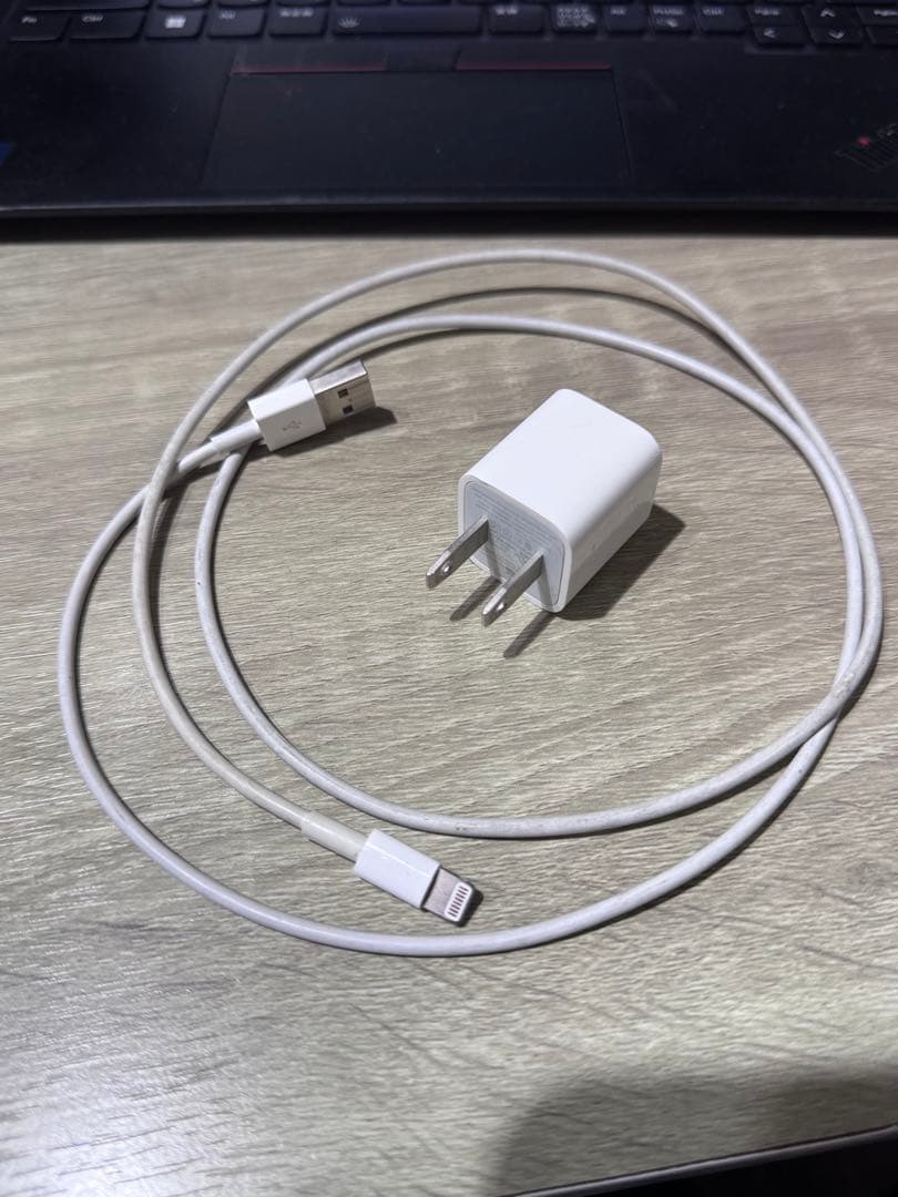 Apple iPhone SE 初代 シルバー 本体 +充電器付
